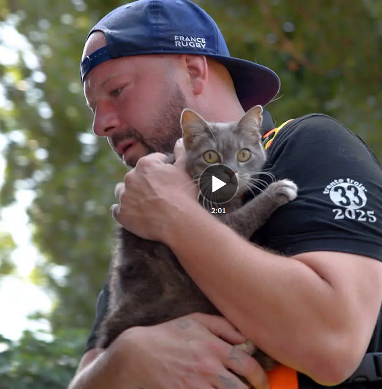 gironde chat