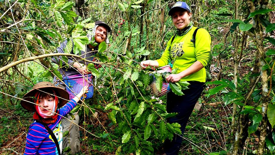 harvest volunteers2.jpg