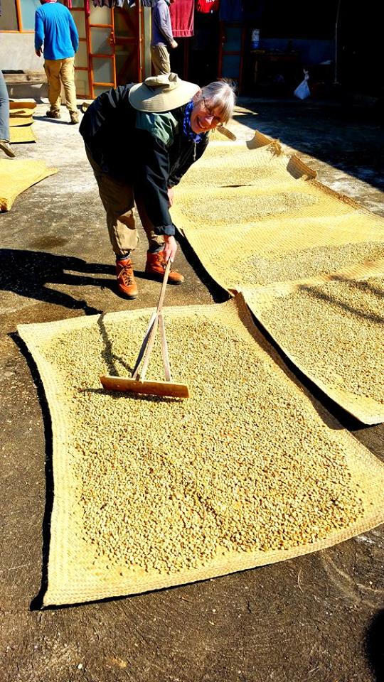 coffee drying before grinding off the husks.jpg