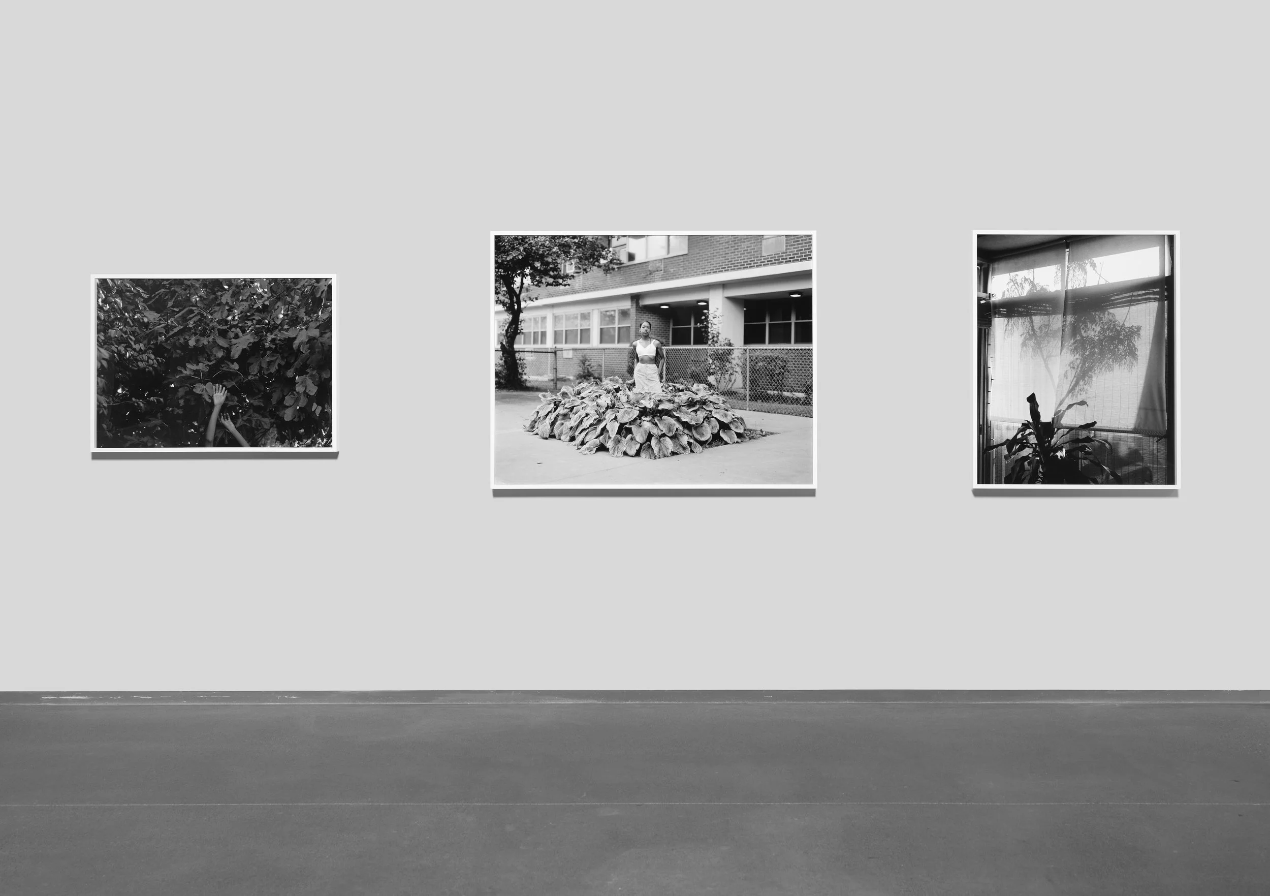 Installation view, Looking forward: ten years of Pier 24 Photography, Pier 24 Photography, San Francisco, CA (2022-2023)