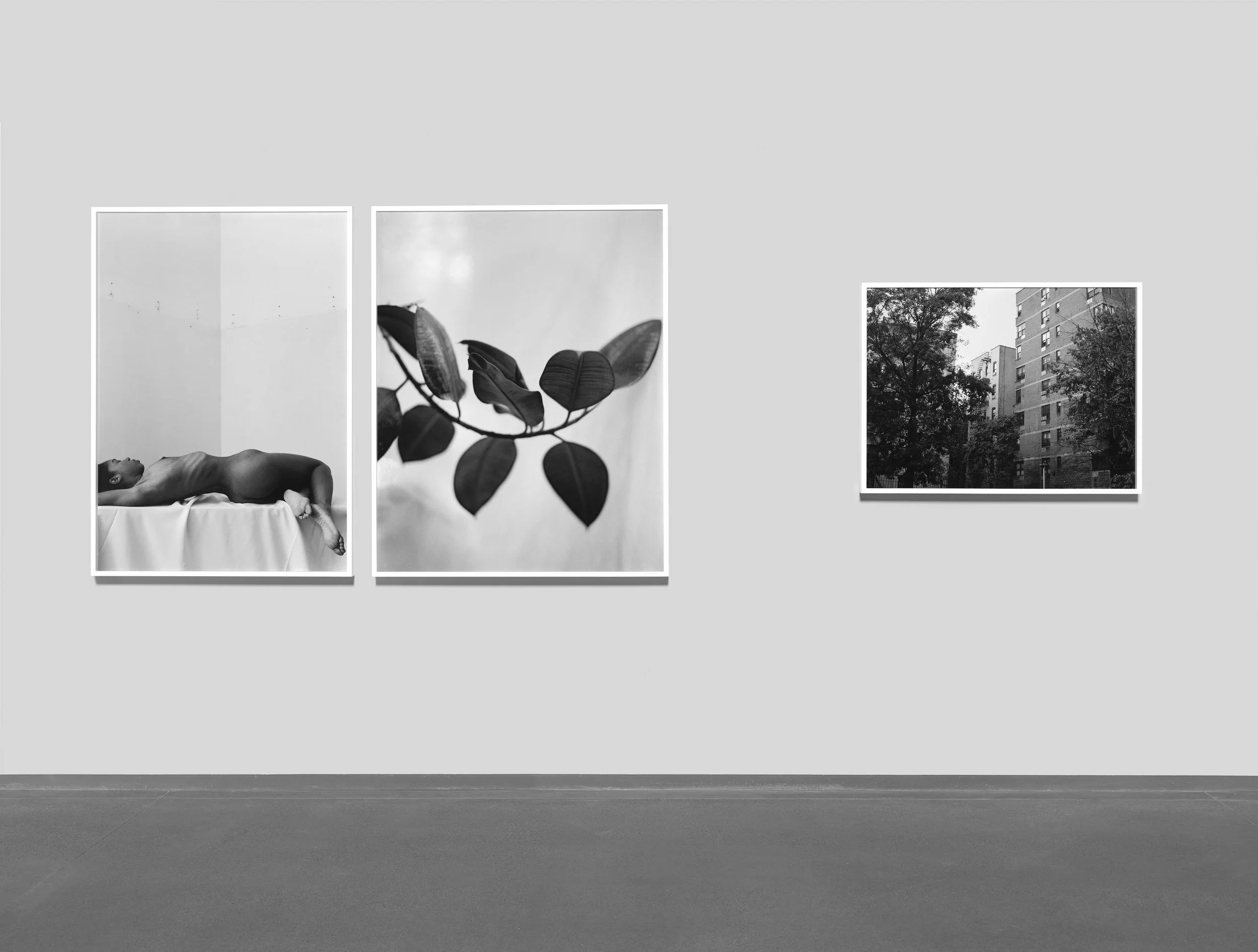 Installation View, Looking Forward: Pier 24 Photography, San Francisco, CA