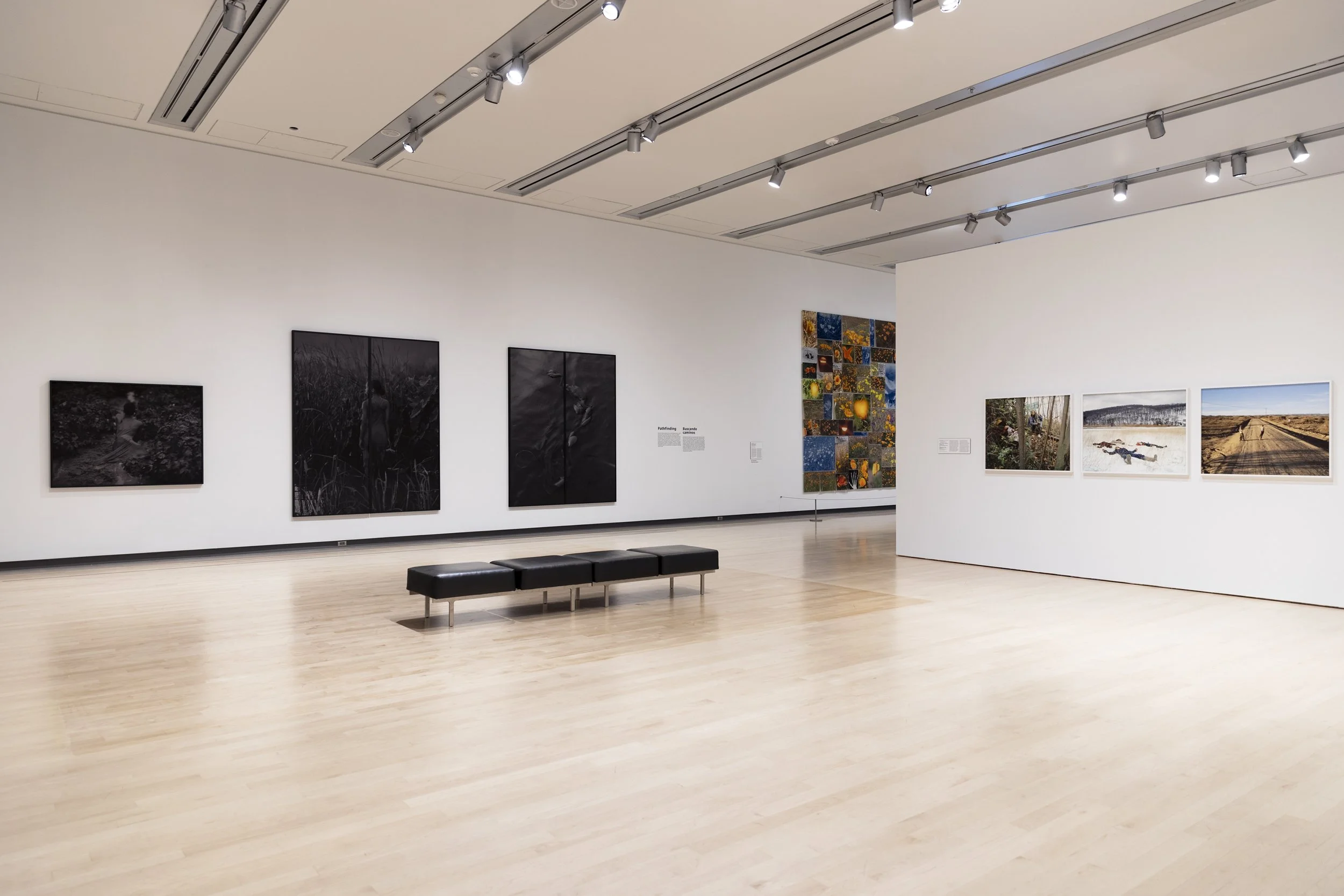 Installation View, Widening the Lens: Photography, Ecology, and the Contemporary Landscape, Phoenix Art Museum, Phoenix, AZ — 2025