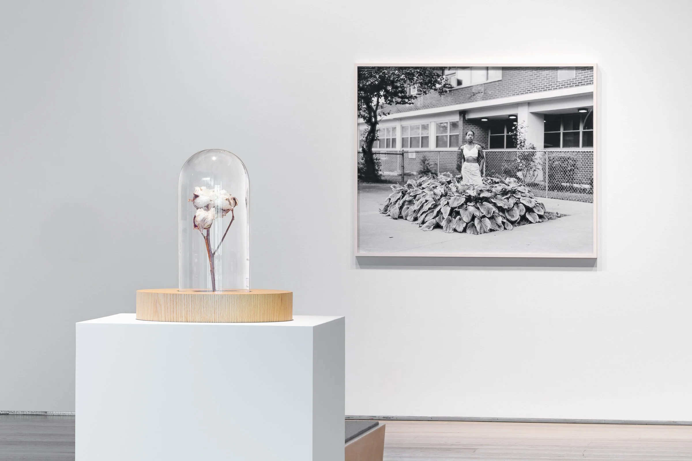 Installation View, Constellations: Racial Myths, land and labour, Esker Foundation, Alberta, CA – 2024
