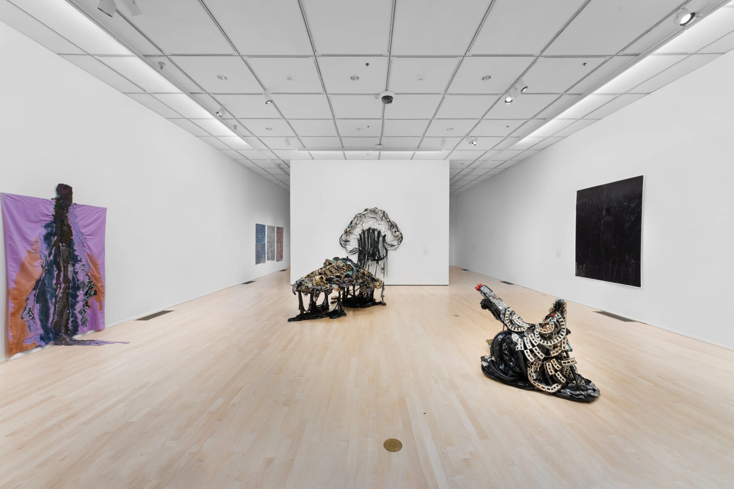 Installation View, Affective Resistance, University Art Gallery, Irvine, CA – 2023