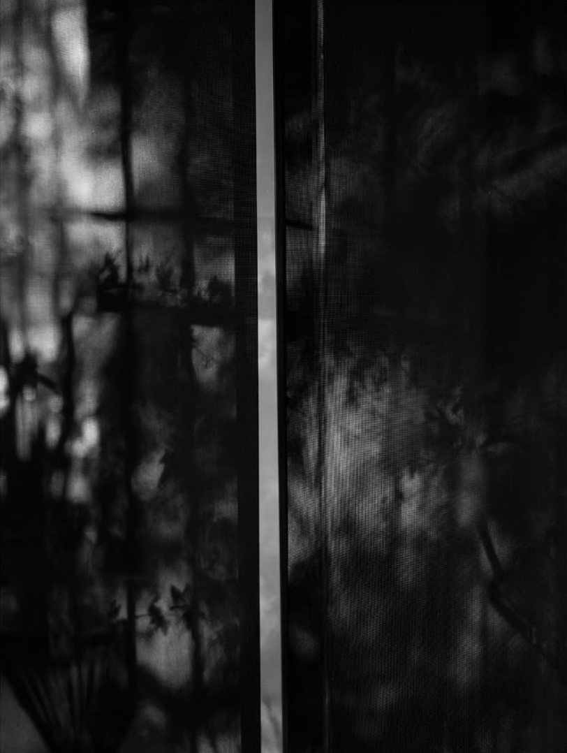 from the series Umbra, made between Guadalajara, MX and Southern California (2022 - ongoing)
