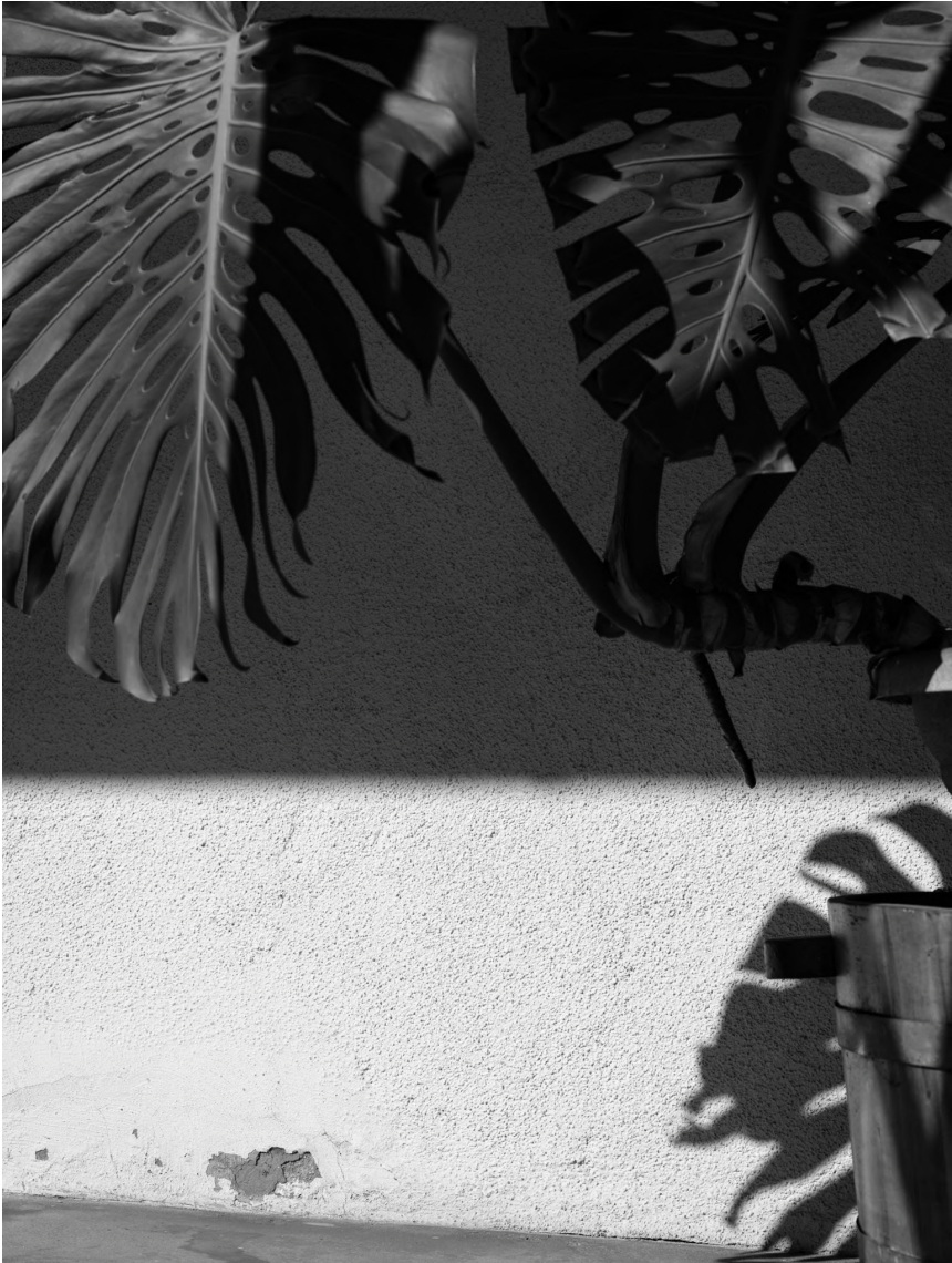 from the series Umbra, made between Guadalajara, MX and Southern California (2022 - ongoing)