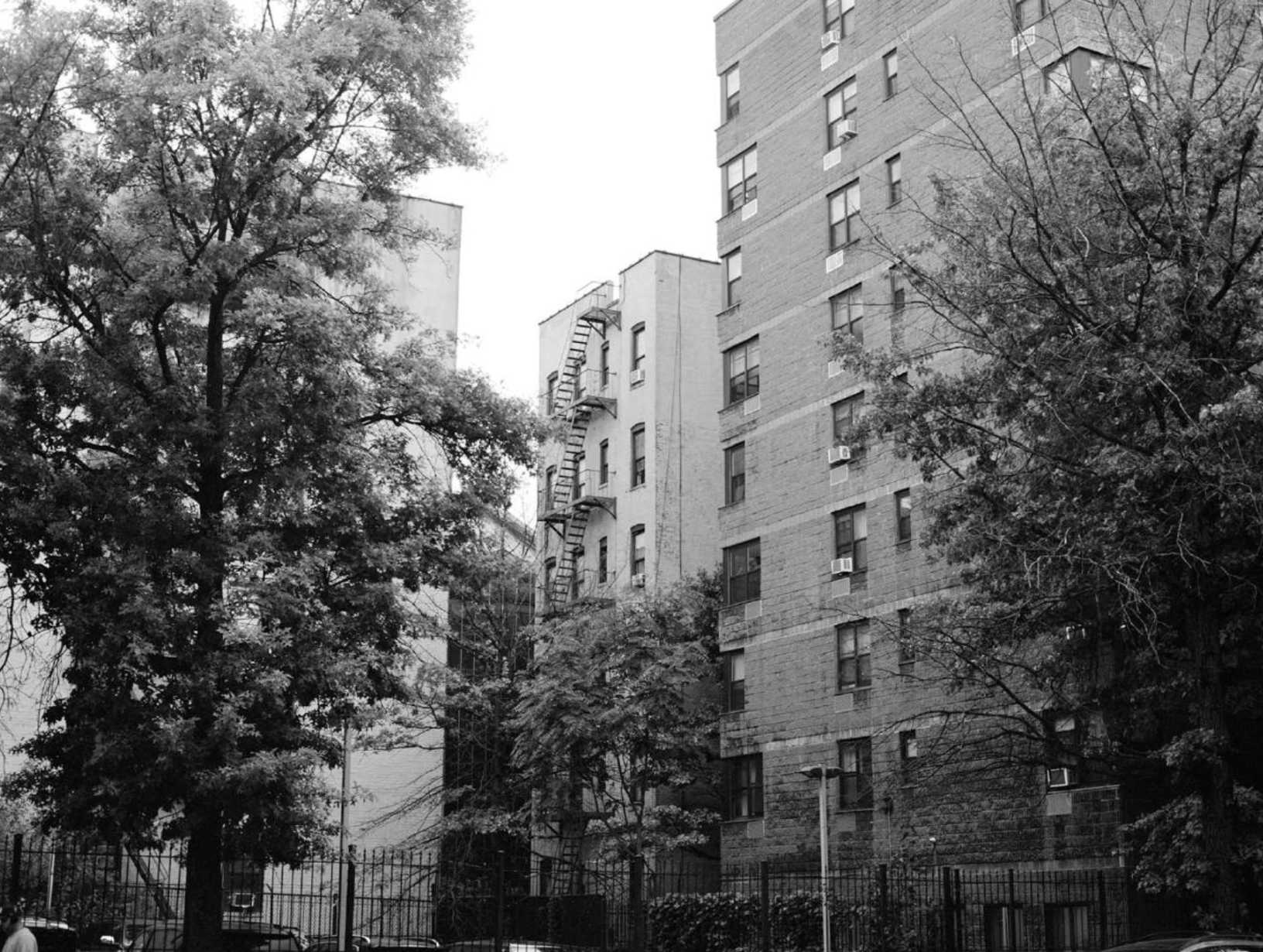 Harlem, archival pigment print, 30×40” inches, 2018