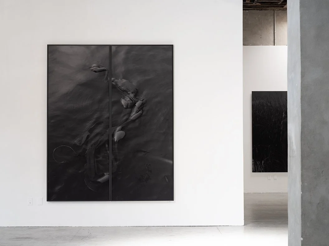 Installation View,  Silt  96×80” inches, pigment print, wood frame