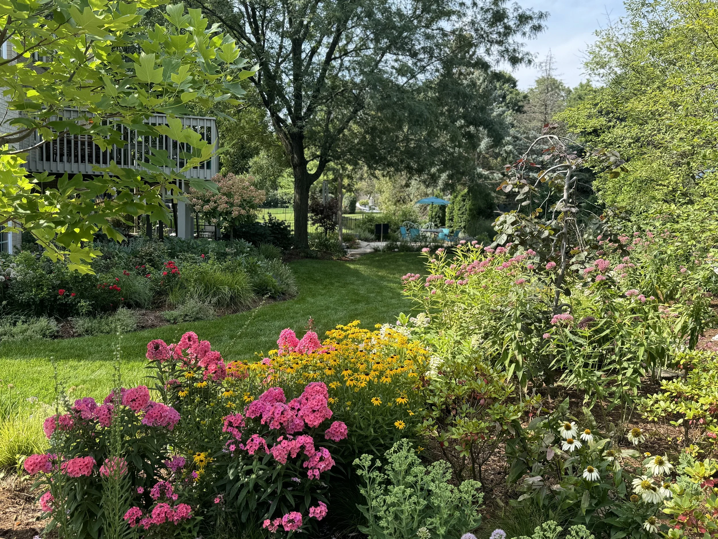 How to Create a Thriving Landscape Bed from Lawn to Garden