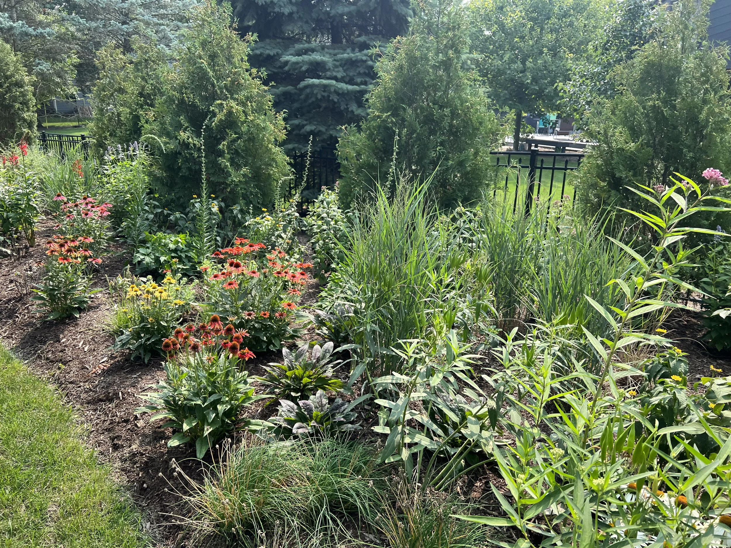 A Landscape Architect’s Favorite Plants for Stunning, Resilient Gardens!