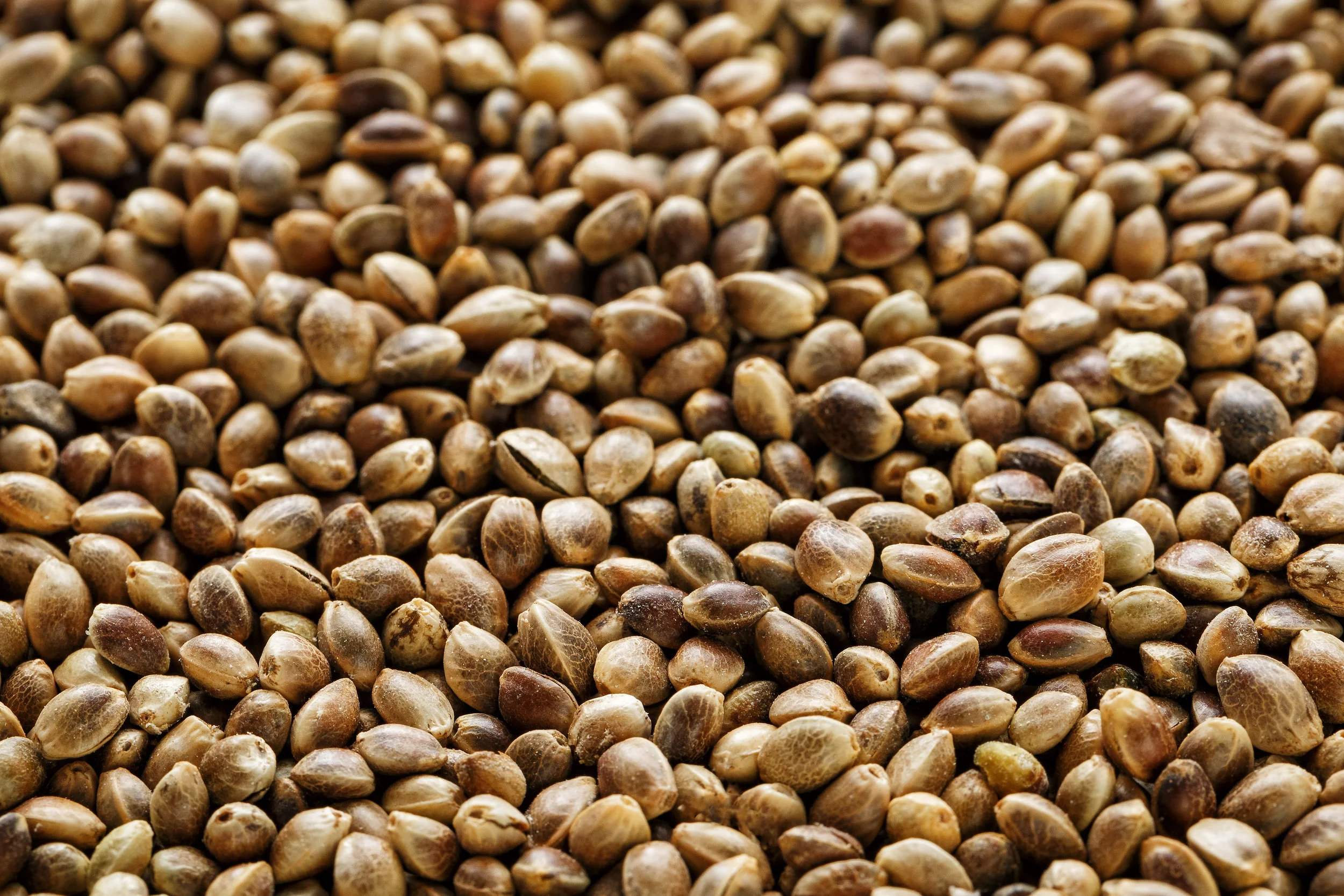 hemp.jpg