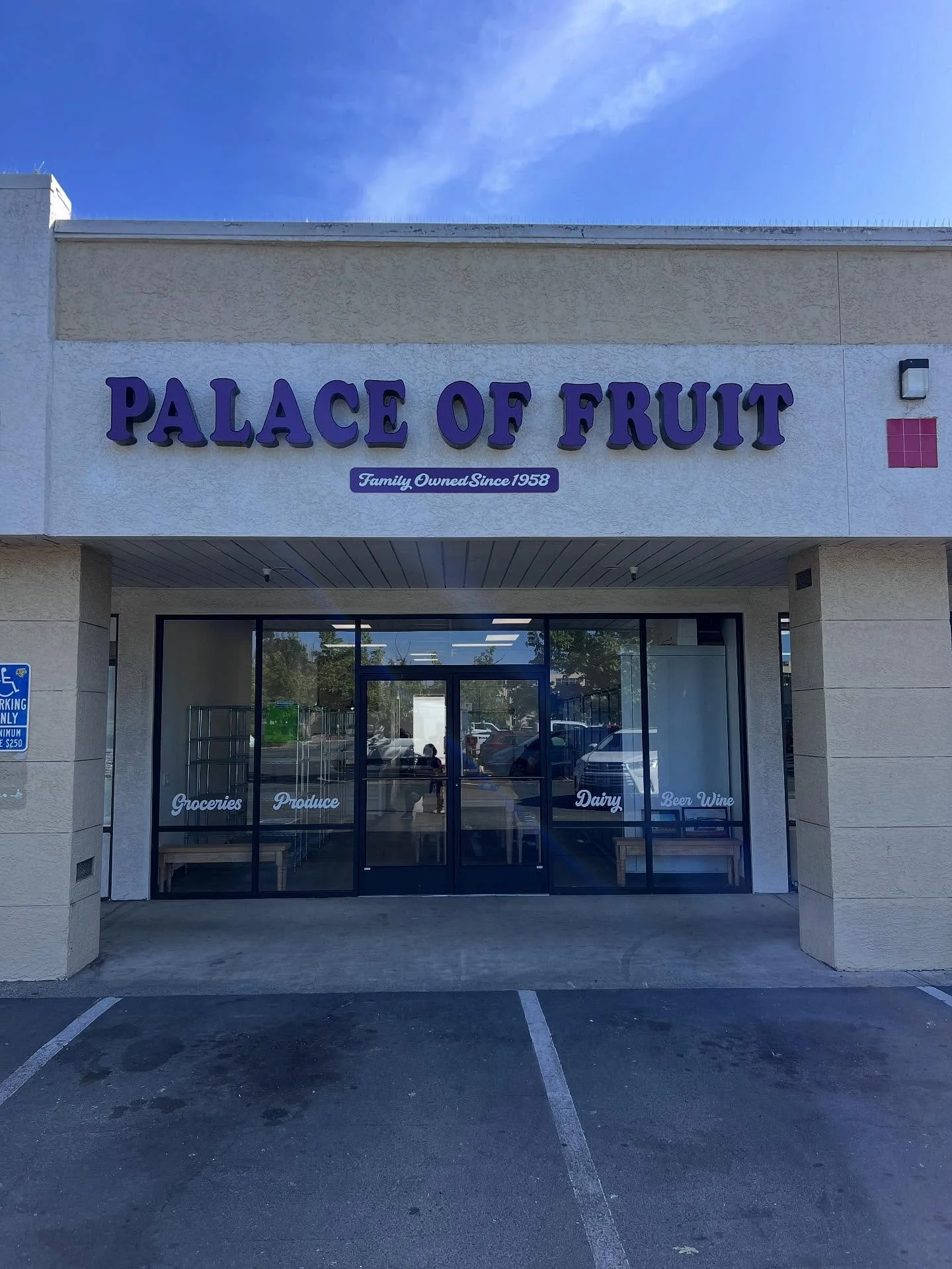 Palace of Fruit install with the work 🐶