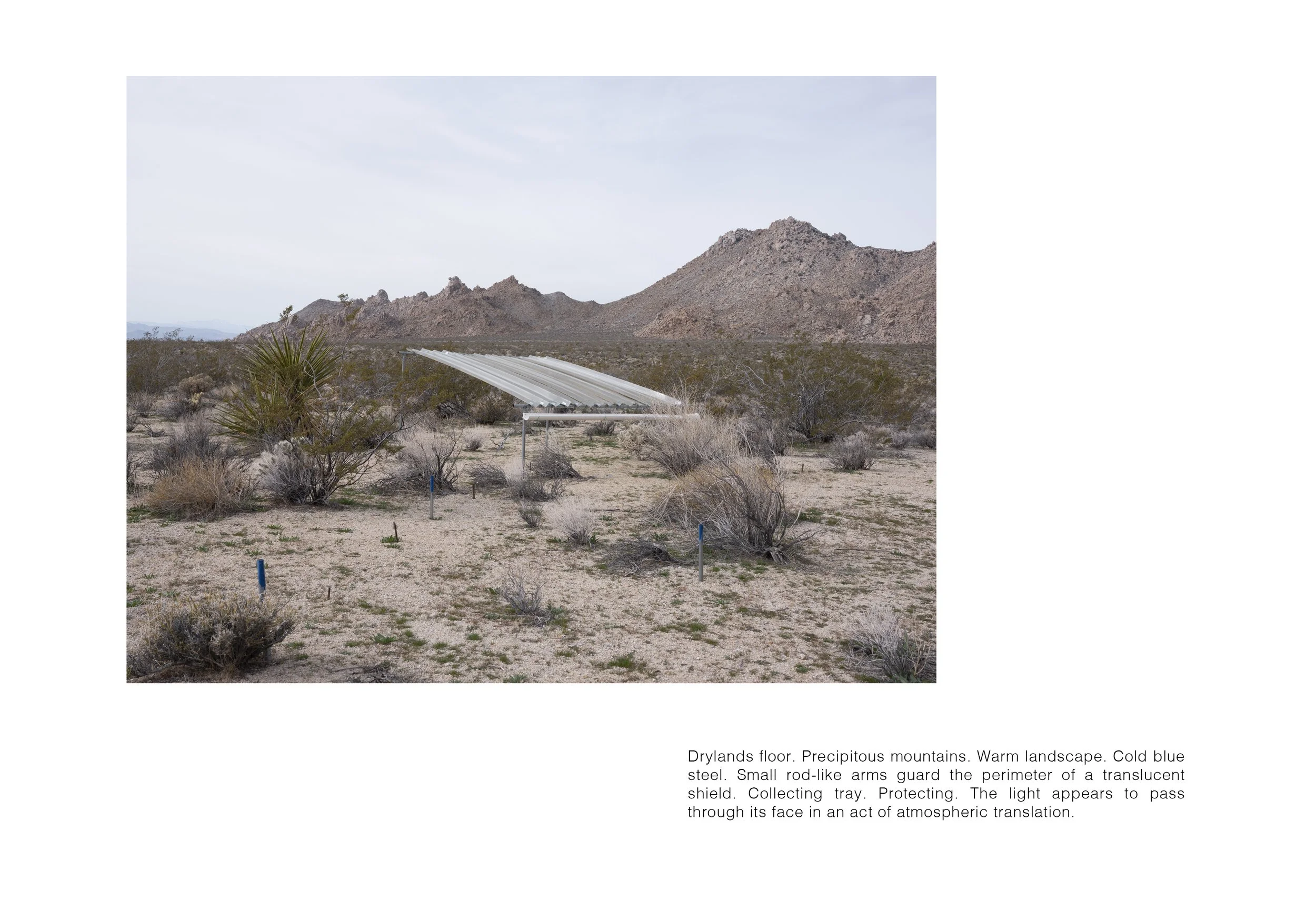  COLLECTOR 012, 2023 book spread 13” x 9” MFA Graduate Exhibition, Who’s To Say University of California, Davis Jan Shrem and Maria Manetti Shrem Museum of Art, Davis, CA 