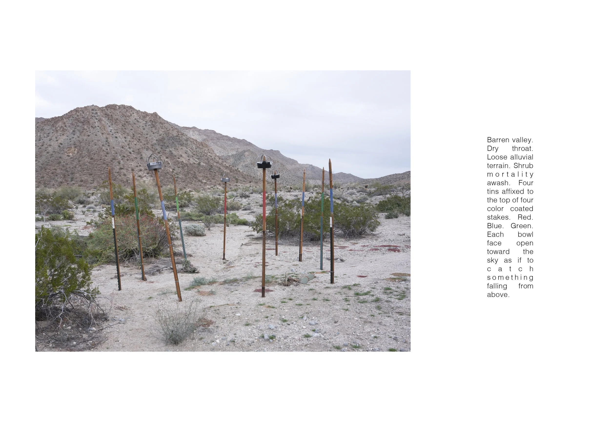  COLLECTOR 010, 2023 book spread 13” x 9” MFA Graduate Exhibition, Who’s To Say University of California, Davis Jan Shrem and Maria Manetti Shrem Museum of Art, Davis, CA 