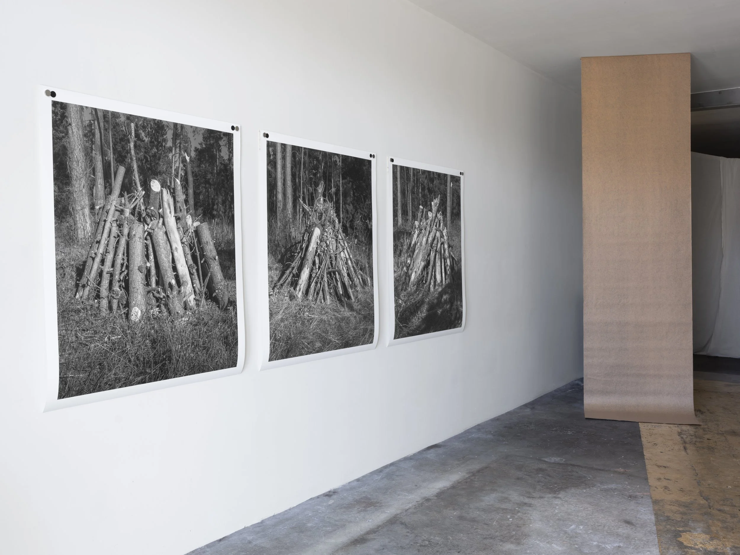  STACKS archival pigment prints 44” x 50” bitumen kraft moisture barrier paper 3’ x 12’   Wet Matter, Confloptus, 2025  Oakland, CA 