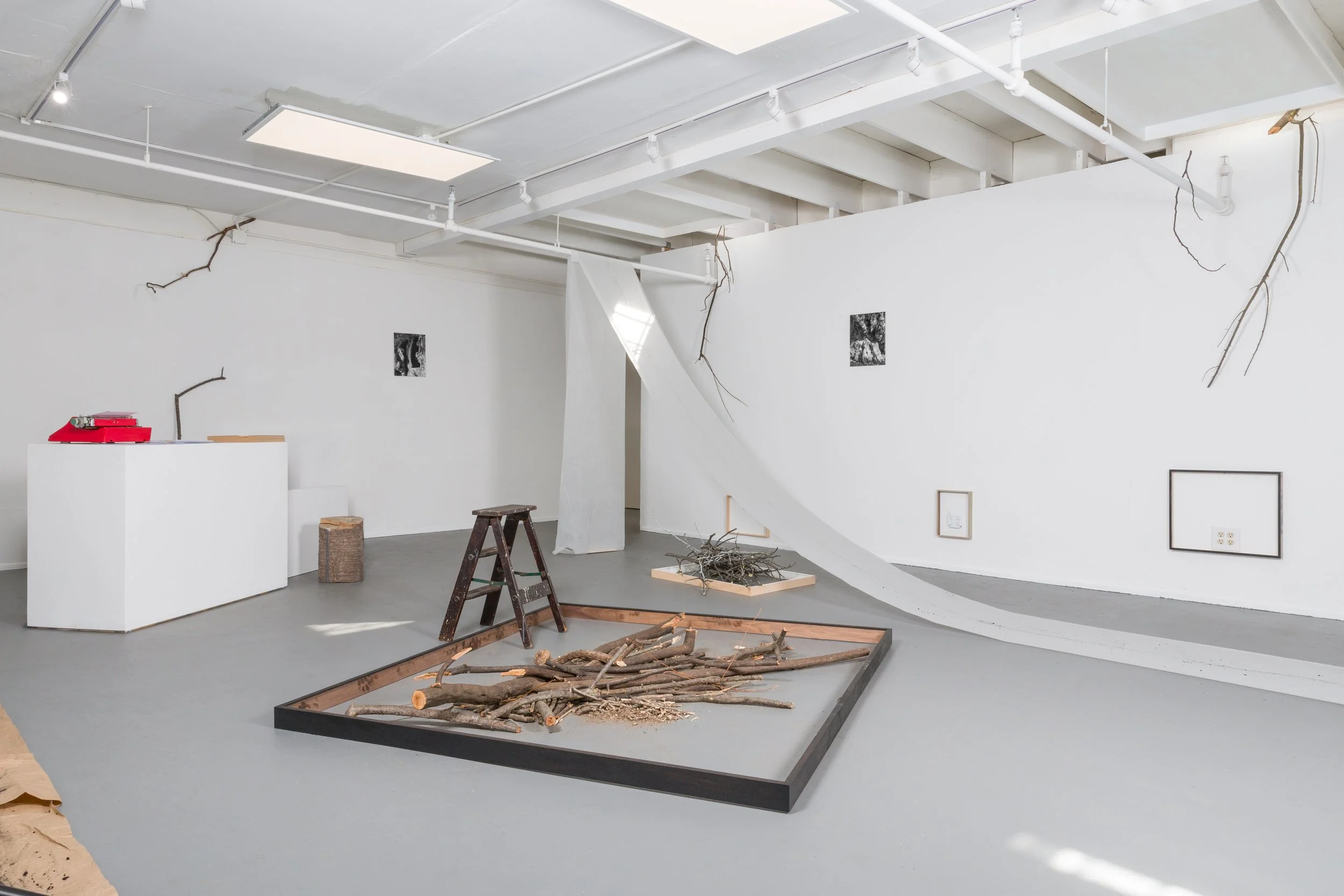 Tree Works, Small Works Gallery, 2025 Art exhibition documentation San Francisco, CA