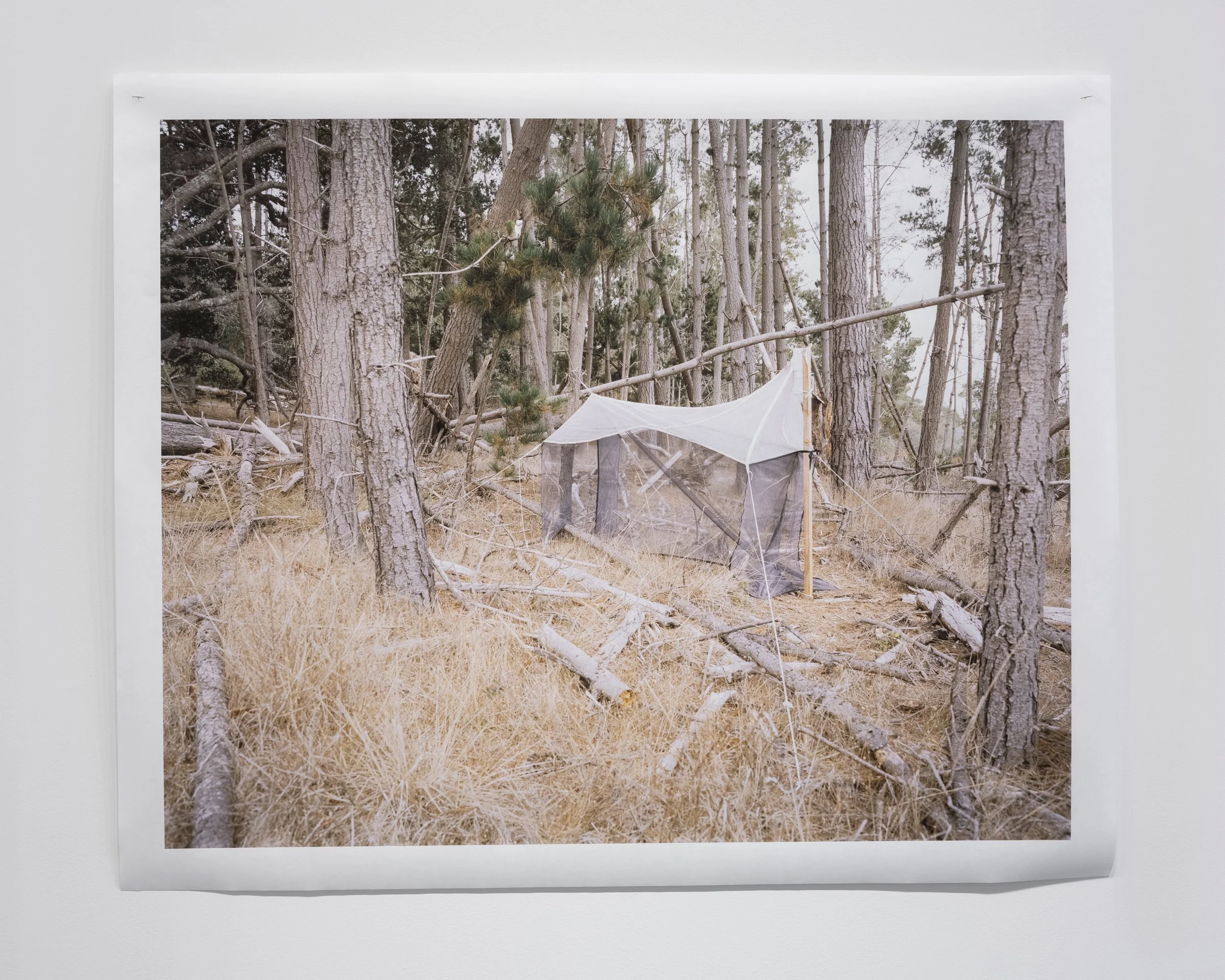  COLLECTOR 011, 2023 archival pigment print on kozo mulberry paper 44” x 36” MFA Graduate Exhibition, Who’s To Say University of California, Davis Jan Shrem and Maria Manetti Shrem Museum of Art, Davis, CA 