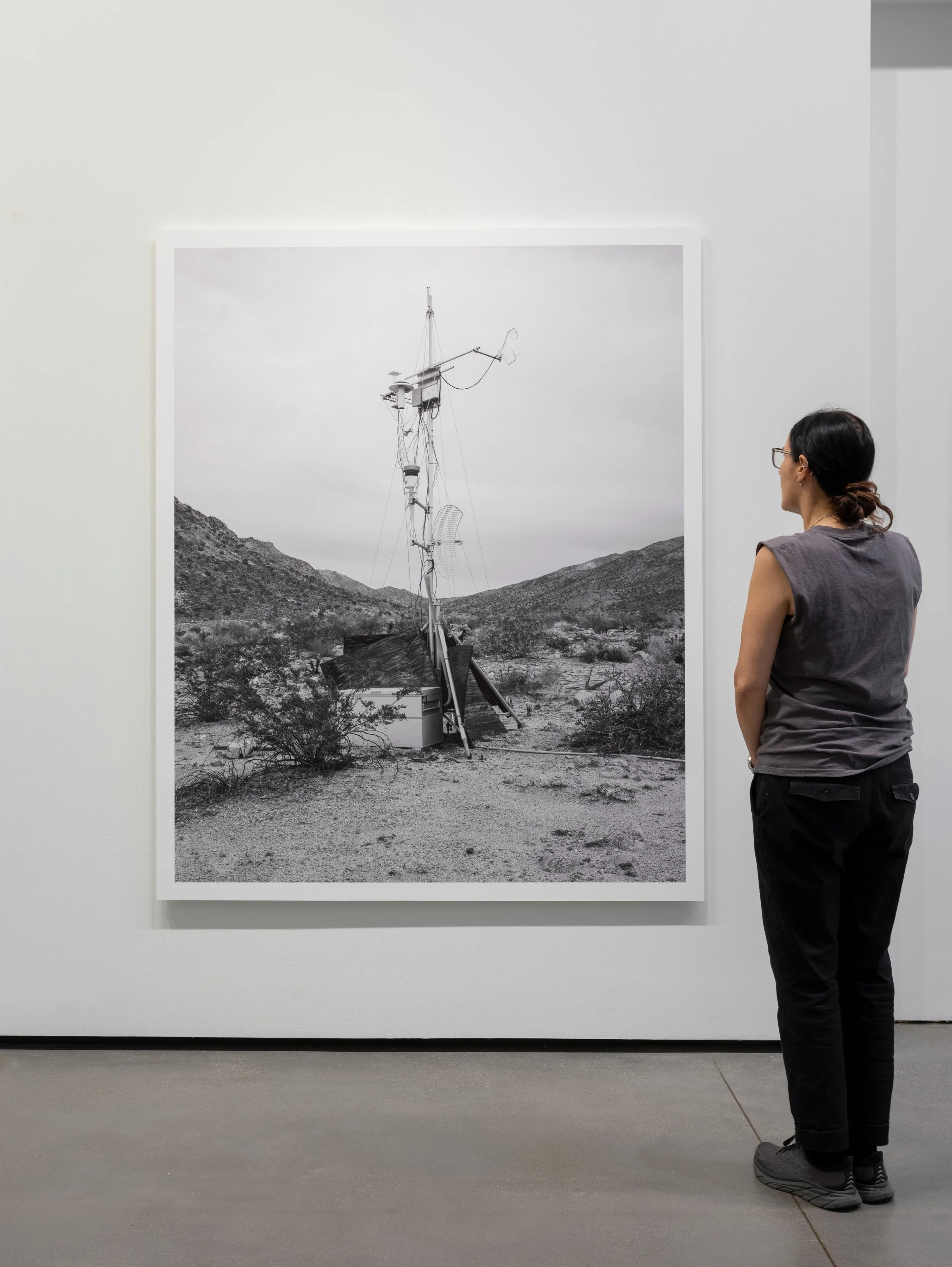  COLLECTOR 008, 2023 archival pigment print 60” x 74” MFA Graduate Exhibition, Who’s To Say University of California, Davis Jan Shrem and Maria Manetti Shrem Museum of Art, Davis, CA 