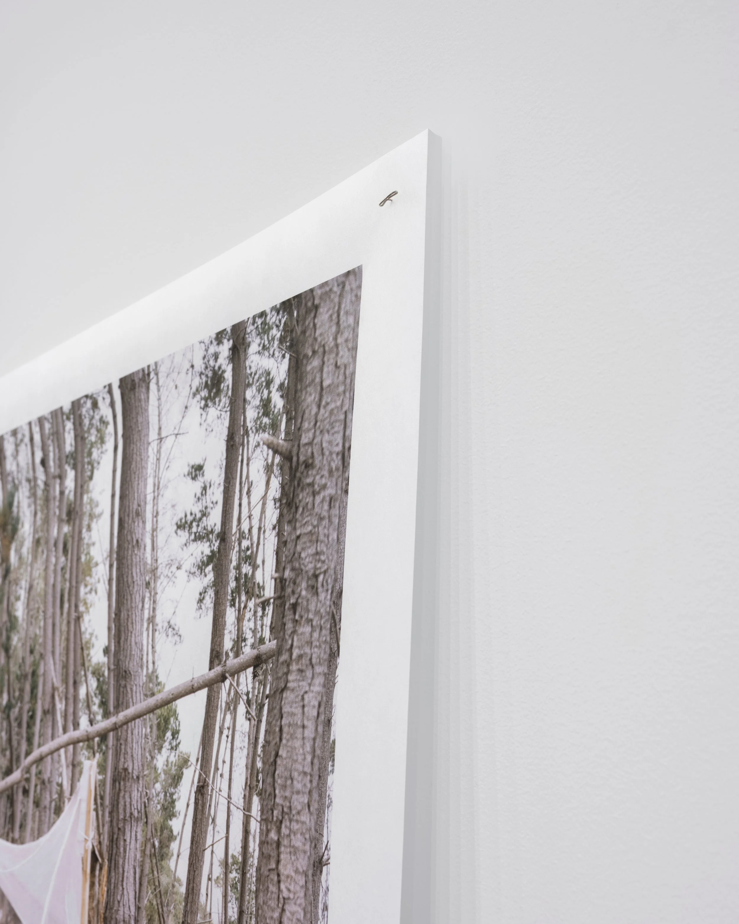  COLLECTOR 011 (detail), 2023 archival pigment print on kozo mulberry paper 44” x 36” MFA Graduate Exhibition, Who’s To Say University of California, Davis Jan Shrem and Maria Manetti Shrem Museum of Art, Davis, CA 