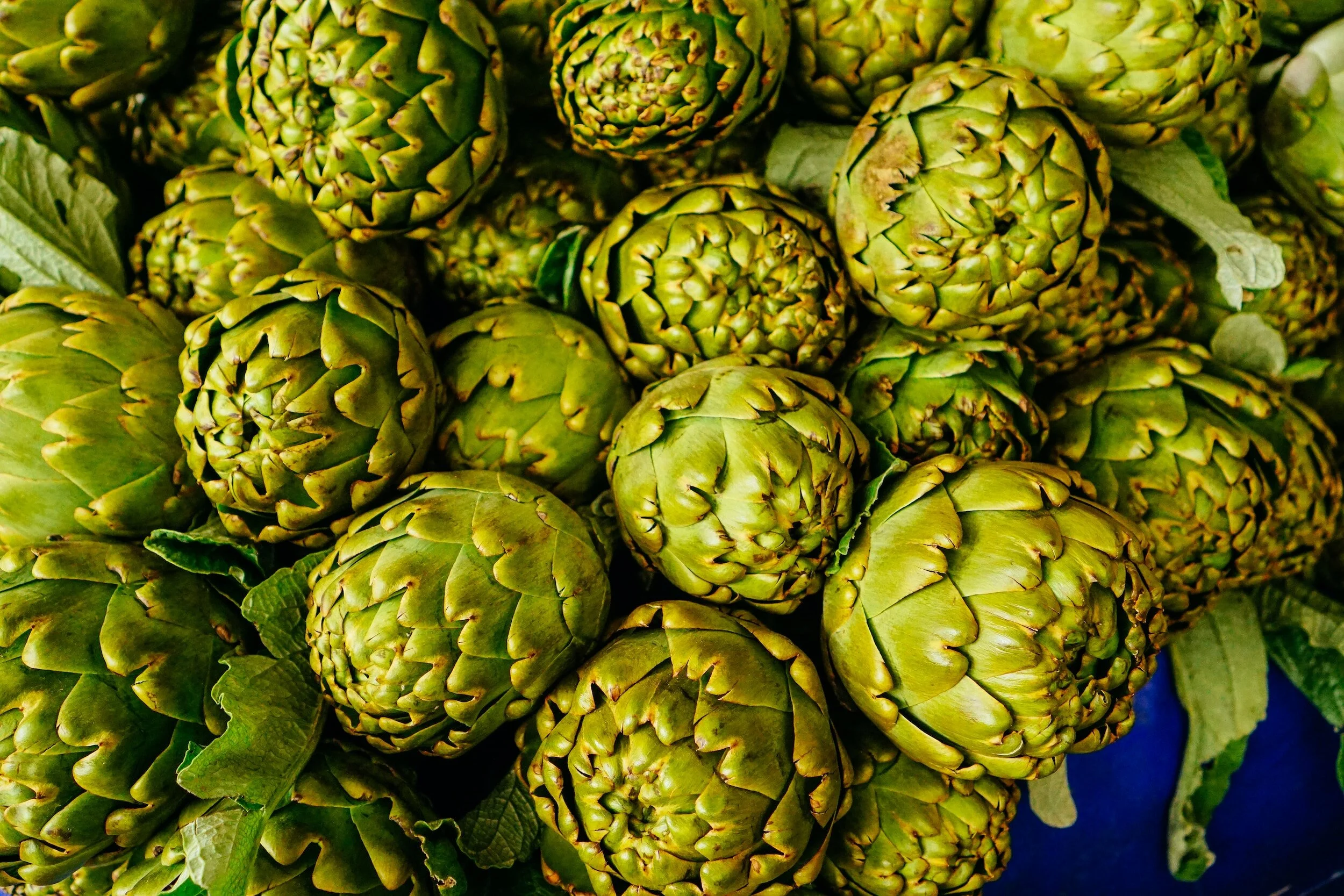 10 Health Benefits of Artichokes You Definitely Want To Take Advantage Of
