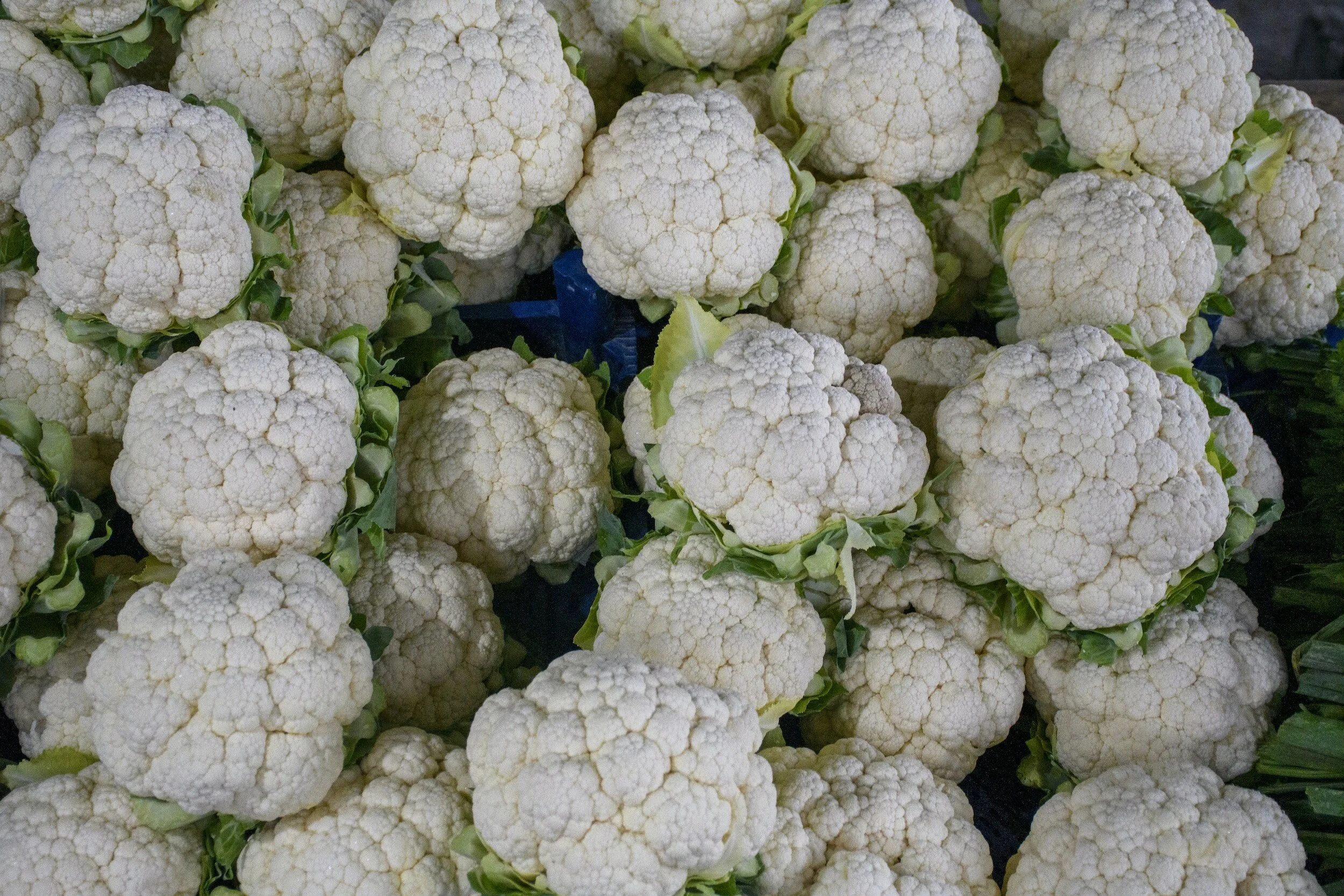 Cauliflower and Everything You Need To Know About It
