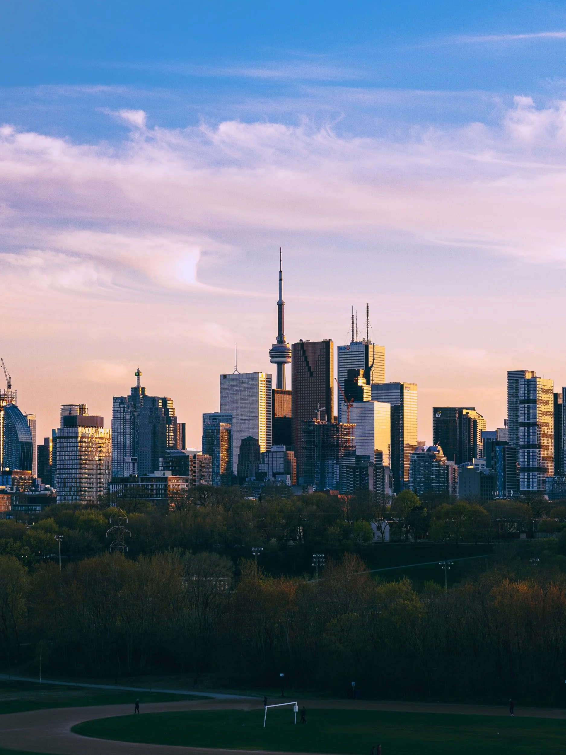 Roehampton Capital Posts FY2019 Results. Shareholder Equity Up 42%