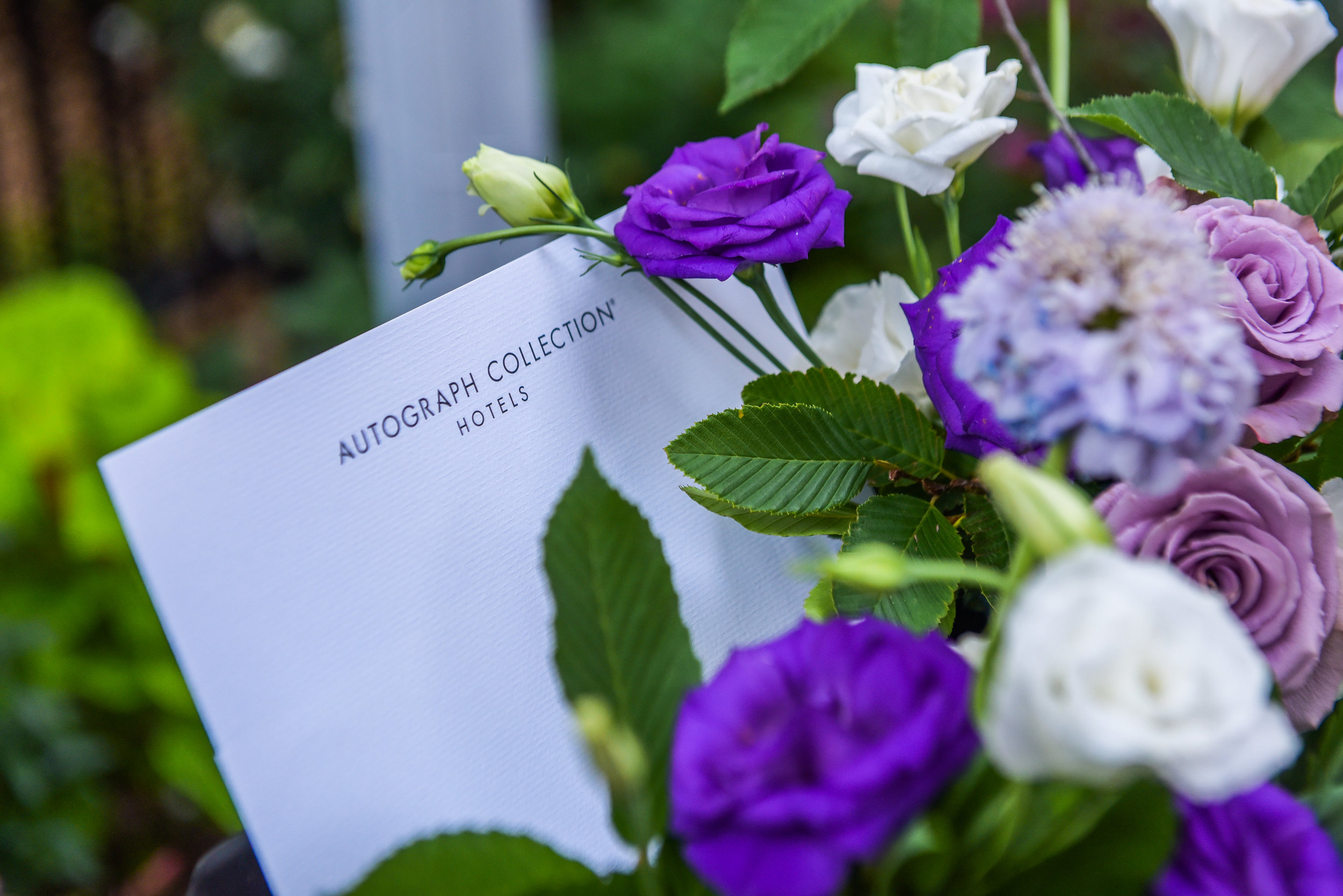 Autograph Collection Hotels \\ A Room of One’s Own