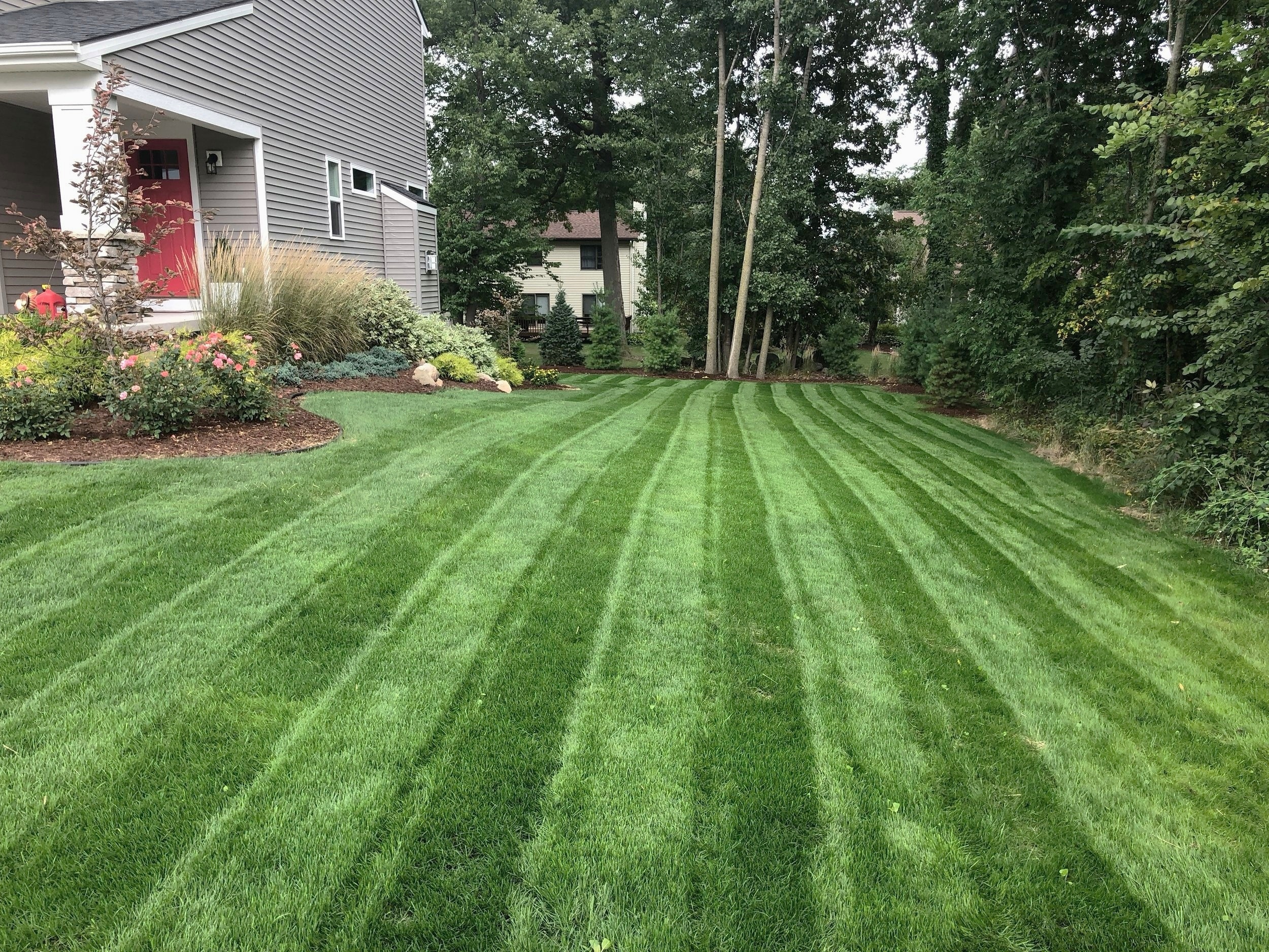After New Lawn Installation