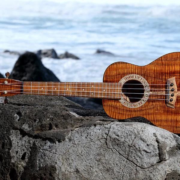HLT_ukulele_023_1024x1024.jpg