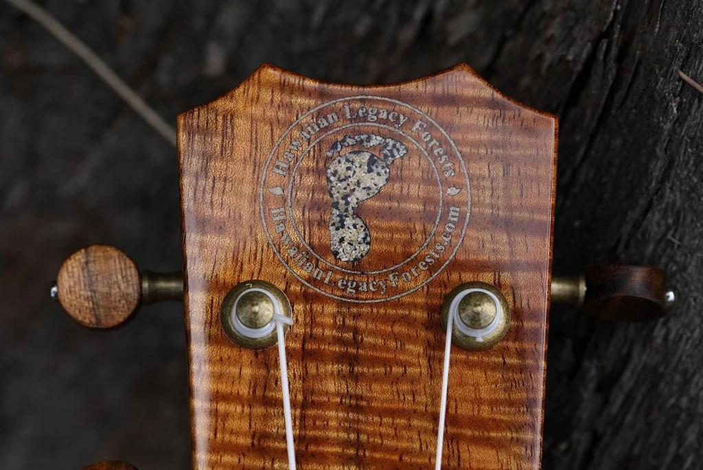 HLT_ukulele_010_1024x1024.jpg