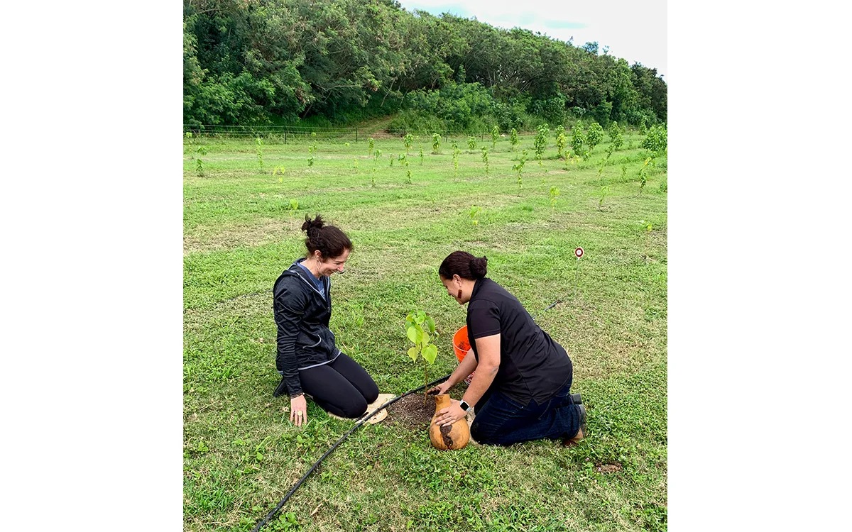 Melanie Haiken planting milo sprouts with Gunstock CEO Lilia Tollefsen