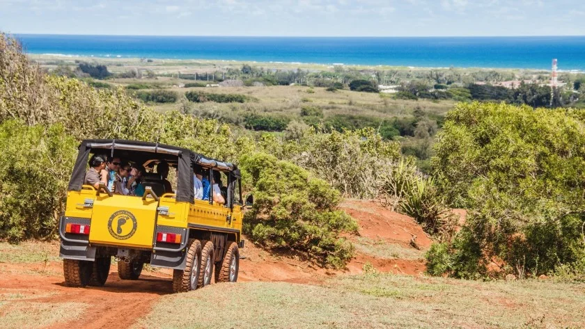 Want to Build a Forest in Hawaii?