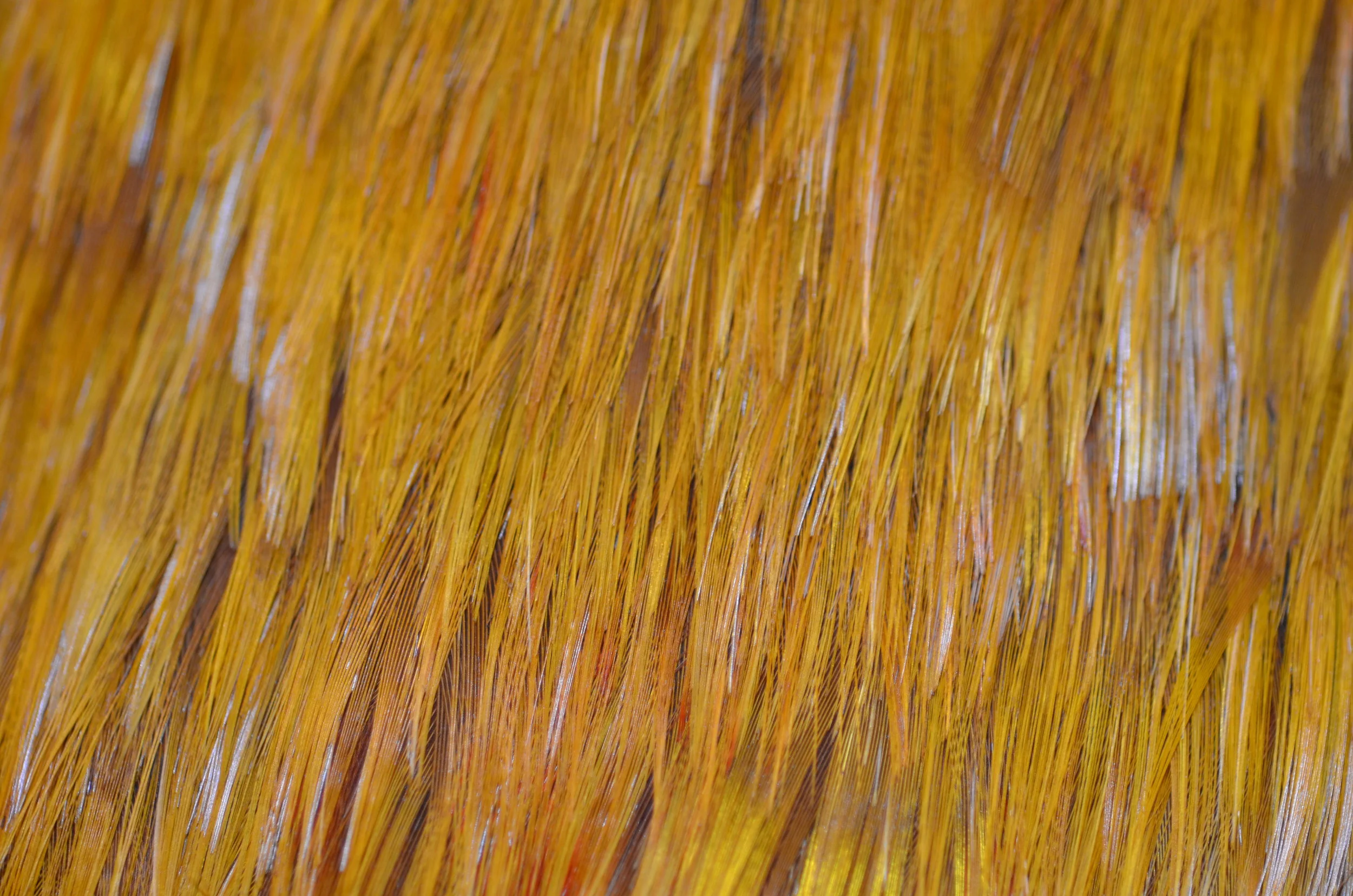 DSC_8365.JPG