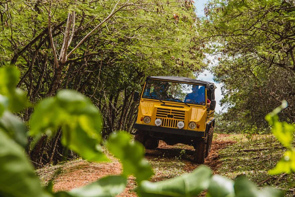 Off-Road Planter’s Tour , Sponsor 8 Legacy Trees Enjoy a 2-hour guided tour of the best of what Gunstock Ranch has to offer: hidden caves, historical WWII sites, stunning vistas and our newly planted Legacy Forest.
