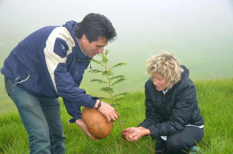 Journeys of Discovery: Hawaiian Initiative to Plant 1.5 Million Trees