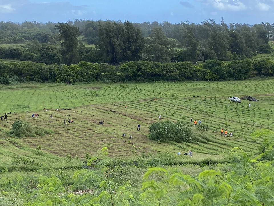 Modern Wahine Hawaii Episode 221 – Rotarians at Work