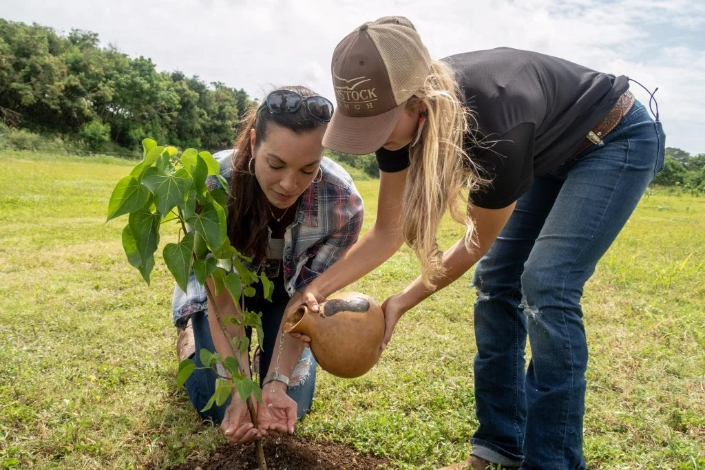 Carbon Neutral Meetings at the Hawaii Convention Center