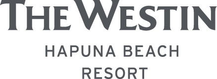 Hapuna Logo HD.png