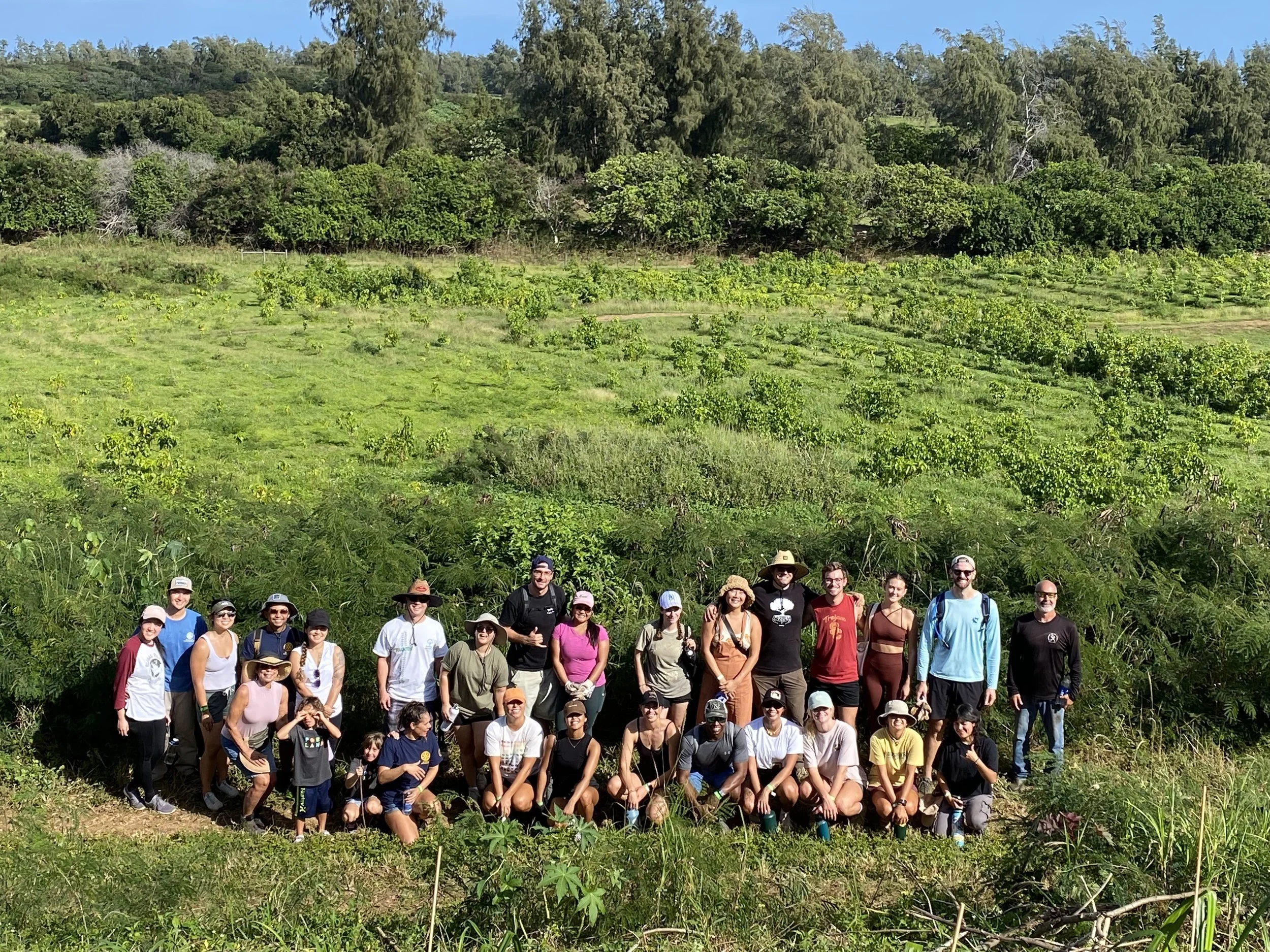 New Year's Resolution:  Plant more trees!