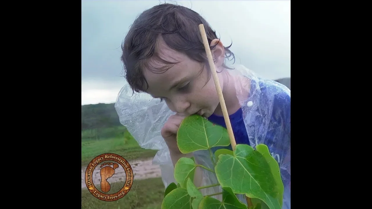 Make-A-Wish America Chapter Awards Catherine’s Garden the “Infinite Wish Award”