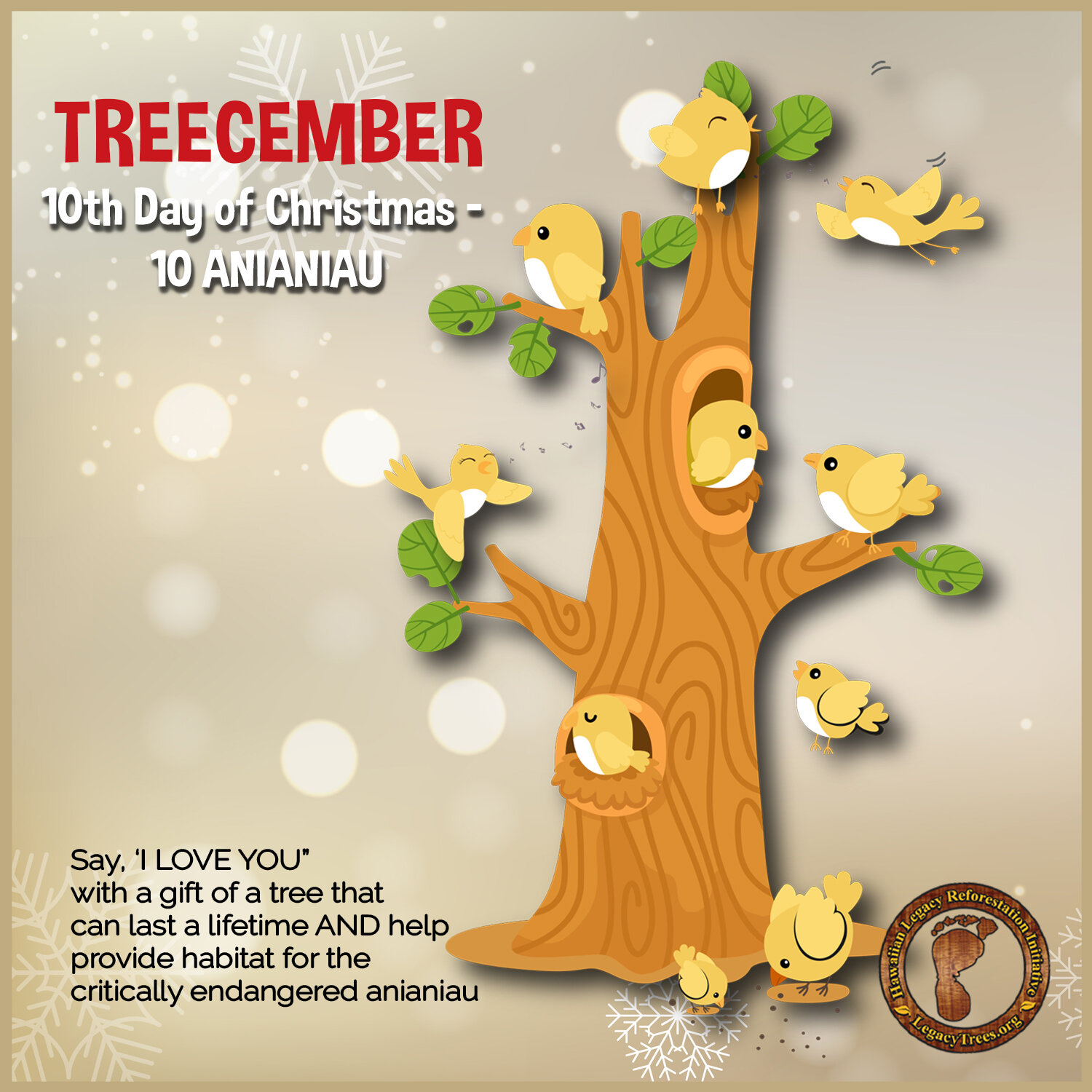 Small, cute and full of love.  Give a gift of a tree this holiday season.

Your gift of a native tree contributes to our environment by providing oxygen, improving air quality, climate amelioration, conserving water, preserving soil, and supporting w