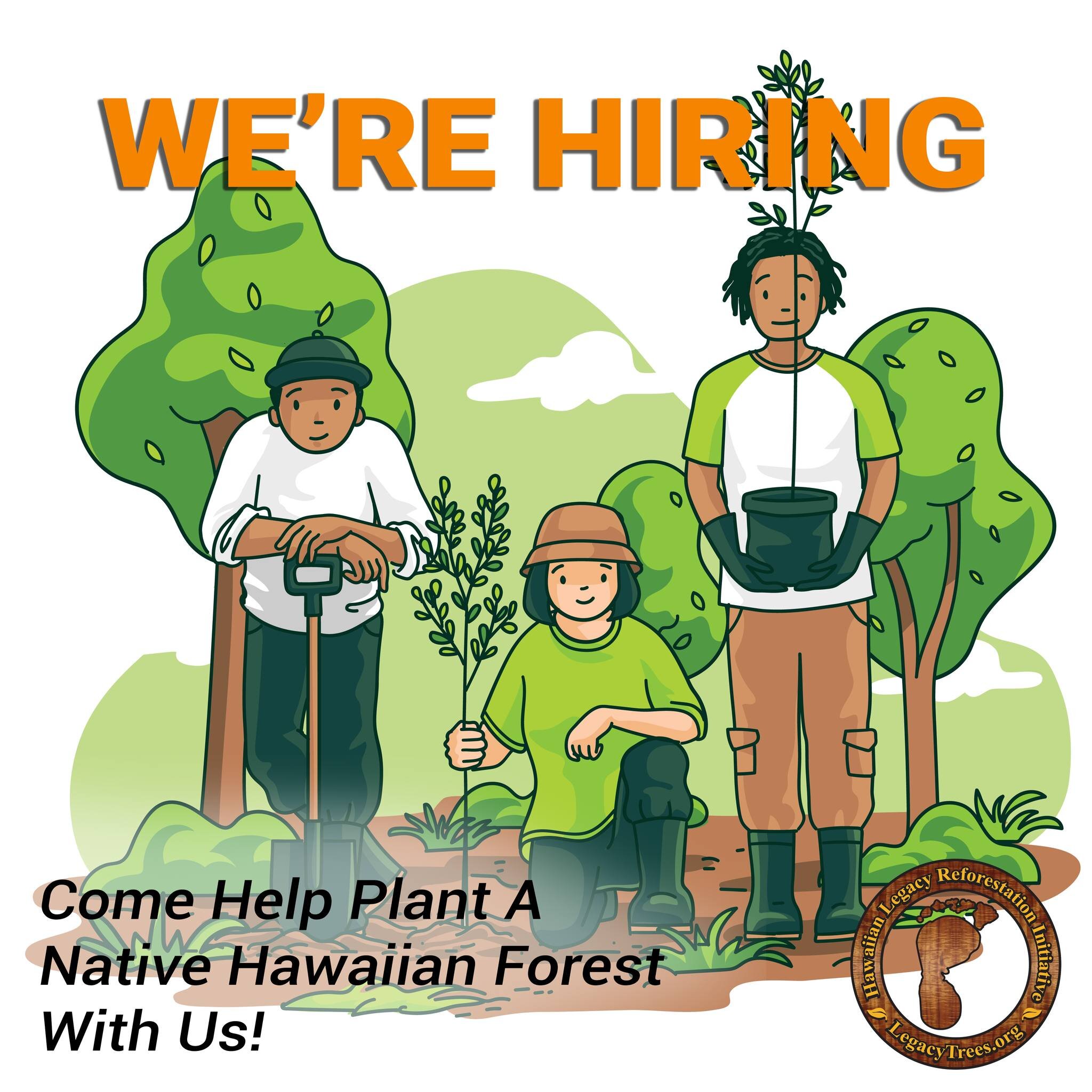 We have immediate openings available to work in our Oahu Forests (Laie and Haleiwa). It's not just a job, you will be helping to revitalize Hawaii&rsquo;s bio-diverse native/endemic eco-system by reforesting our aina with native &amp; endemic trees. 