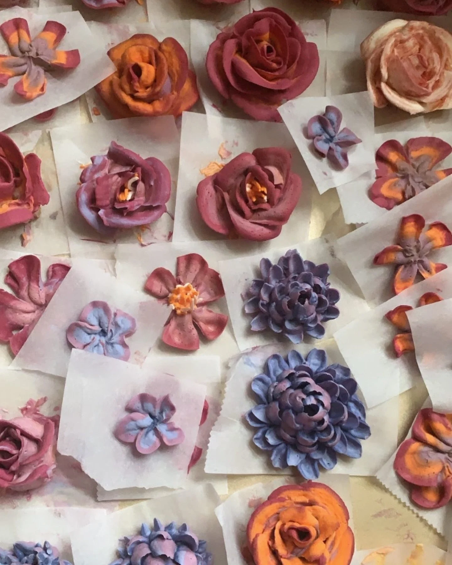 New workshop collaboration coming soon! 
Cake decorating with Plant Magic✨My favorite cake designer @sweethaze.cakes and I are bringing to life a botanical cake decorating workshop with natural plant hues and refined sugar free. Save the date: Novemb