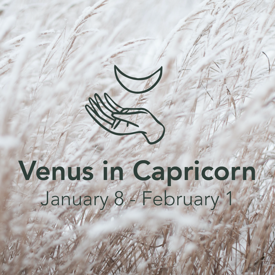 Venus in Capricorn (January 8 - February 1)