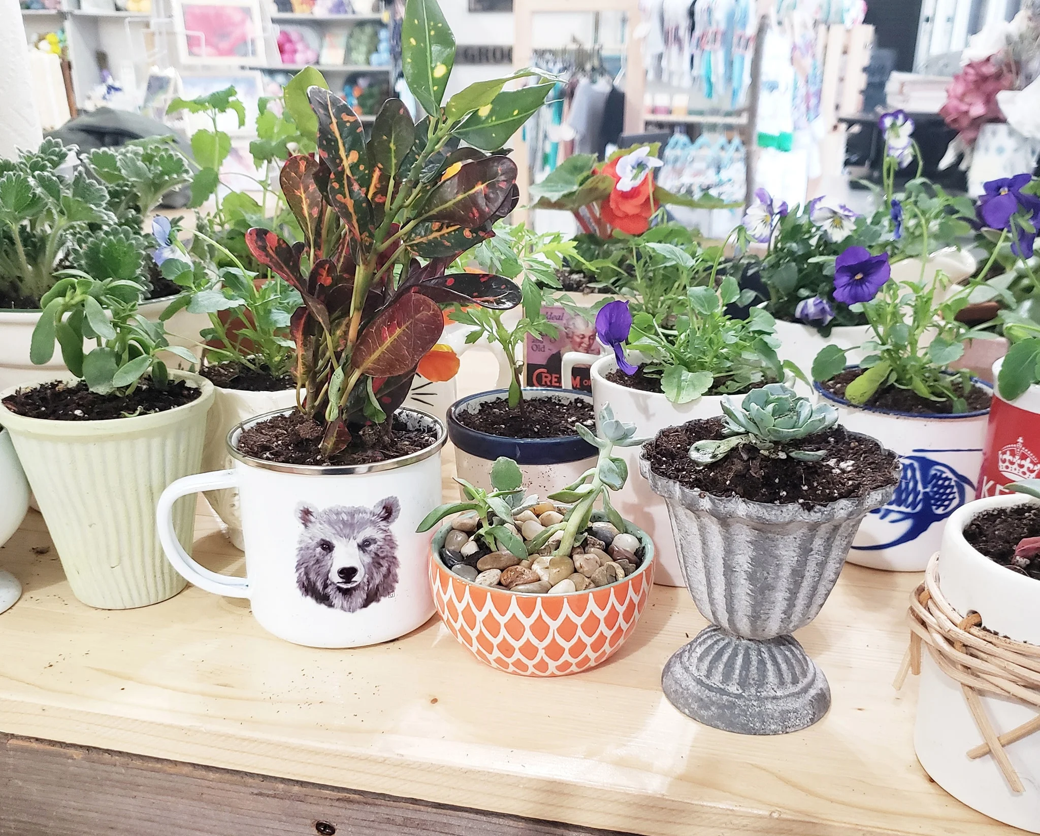 The first 20 customers received free potted plants