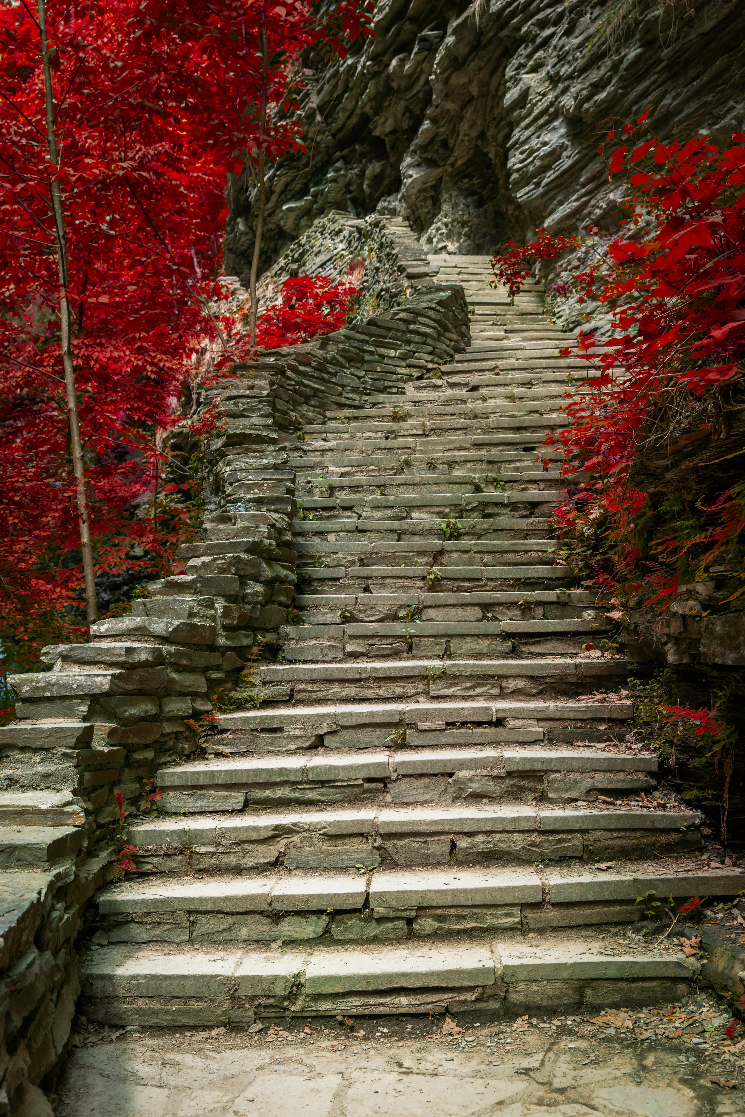 Stony Brook State Park 2.jpg