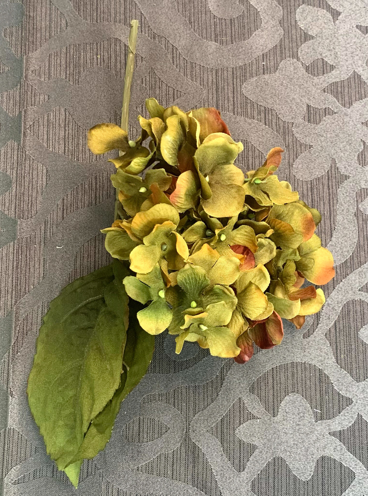 Rusty Green Hydrangeas (FL22)