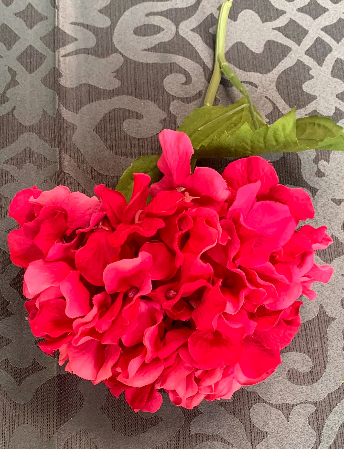 Fuschia Hydrangeas (FL28)