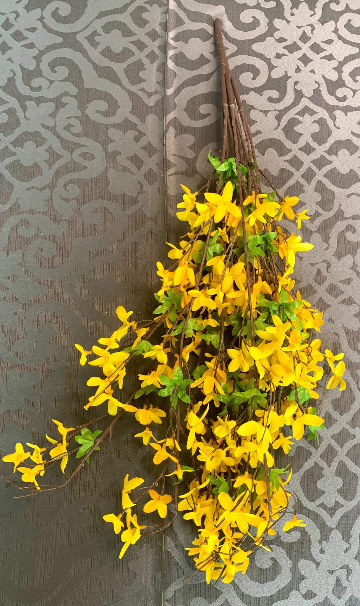 Forsythias (FL32)
