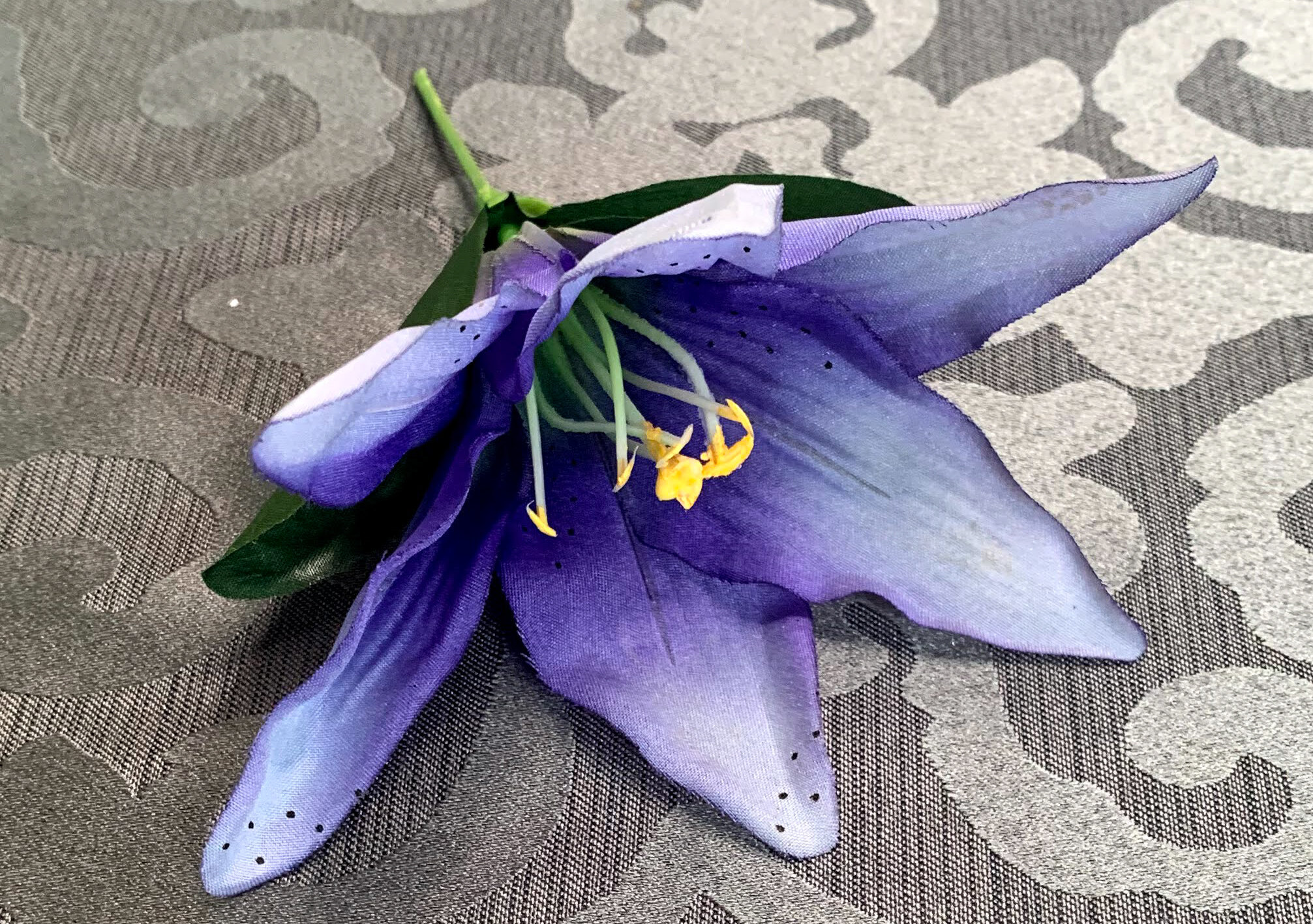 Blue Tiger Lilies (FL38)